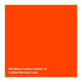 thumbnail image 2 of Pintura Meridian Premier 10 Años Naranja Colon 4 Litros, 2 of 3