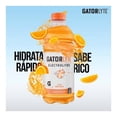 thumbnail image 4 of Bebida hidratante Gatorlyte sabor naranja 591 ml, 4 of 5
