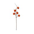 thumbnail image 2 of Calabaza de terciopelo sintético con ramas y bayas: decoración artificial de otoño para el hogar, ideal para la repisa de la chimenea, la mesa o como centro de mesa festivo., 2 of 7