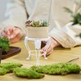 thumbnail image 4 of HONMEET Soporte Para Plantas De Hierro Con Simple Para En Y, 4 of 8