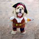 thumbnail image 2 of Disfraz de mascota, divertido y adorable perro, gato, pirata, para Halloween, disfraz, ropa de fiesta para perro y sombrero., 2 of 5