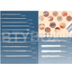thumbnail image 5 of Kit Cuidado 15 Pz Acné Elimina Punto Negros Espinillas, 5 of 5