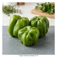 thumbnail image 5 of Chile dulce por kilo, 5 of 5