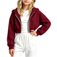 thumbnail image 2 of Sudadera con capucha y cremallera de manga larga de color liso para niñas, estilo casual y holgado, ideal para invierno, tallas 120-170., 2 of 5