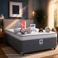 thumbnail image 1 of Colchón Queen Size Spring Air Gibson + Box + 2 Almohadas + Protector Essence, 1 of 11