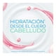 thumbnail image 2 of Shampoo Palmolive Neutro Balance Dermo Protect+ Pro Colágeno 680 ml, 2 of 5