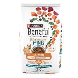 Alimento seco para perro Purina Beneful Adulto Minis Salmón 2kg