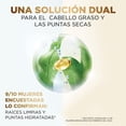 thumbnail image 3 of Acondicionador Hidratante Pantene Pro-V Miracles Equilibrio Raíz y Puntas 250 ml, 3 of 5