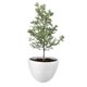 thumbnail image 1 of Atmos Homeware Macetas Decorativas para Interior y Exterior |  1 Maceta Grande de Plástico con Capacidad para 45 Litros | Modelo Kun color Blanca 1 Piezas., 1 of 6