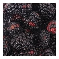 thumbnail image 2 of Zarzamora Fresca 170 G, 2 of 6