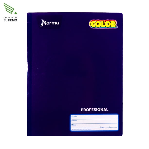 Cuaderno Norma Color Cosido Profesional Raya 100 Hojas Morado
