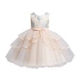thumbnail image 1 of Vestido Para Niñas, Ropa Para Niñas Pequeñas, Vestido De Princesa Sin Mangas De Encaje Para Niños Pequeños, Vestido De Fiesta De Tul, Ropa De Cosplay Beige Odeerbi  LM103-1257, 1 of 9