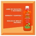 thumbnail image 4 of Acondicionador Cantu Aguacate Hidratante 400 ml, 4 of 4