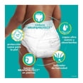thumbnail image 3 of Pañales Pampers swaddlers etapa 2 unisex 29 pzas, 3 of 4