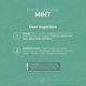 thumbnail image 5 of Aceite Esencial De Menta | 120 ml | Ingredientes Puros y Naturales | Mint Essential Oil | B Life., 5 of 7