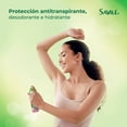 thumbnail image 3 of Antitranspirante Savilé sábila y concha nácar en aerosol para dama 150 ml, 3 of 4