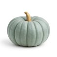 thumbnail image 1 of Calabaza Pastel, 1 of 8