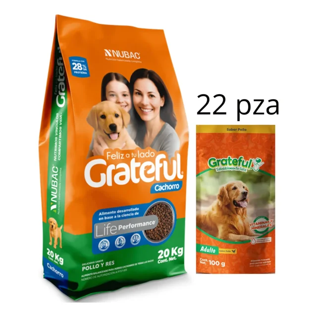 grateful cachorro 20 kg + caja alimento humedo sobre grateful 100 gr (22 pzas) Bolsa frontal de alimento seco Grateful Cachorro 20 kg en empaque naranja y verde con foto de personas y cachorro, rótulo "28% proteína" y sello "Life Performance"; junto a paquete vertical de alimento húmedo Grateful 100 g sabor pollo con imagen de perro. Indicado para crecimiento y salud dental; a menudo usado también para complementar raciones en viajes cortos.