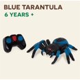 thumbnail image 3 of Terra by Battat – Araña de control remoto para niños – Tarántula RC con ojos LED – Animal realista y patas móviles – Movimiento rápido y giro de 360 ​​– Tarántula azul – 6 años +, 3 of 5