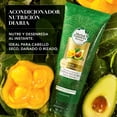 thumbnail image 2 of Acondicionador Herbal Essences Bio:Renew Pequi & Aguacate Nutre e Hidrata 250 ml, 2 of 4