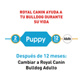 thumbnail image 3 of Alimento para perro Royal Canin Bulldog Puppy de 2.72Kg Royal Canin Bulldog Puppy, 3 of 5