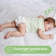 thumbnail image 4 of Bum Co.| Pañal desechable para bebé, Etapa 3, Mediano (6 a 10 kg), Unisex, Caja con 160 pz | Overnight Protection, Cloud Feel, Hipoalergénicos, Dri-Tech, 4 of 10