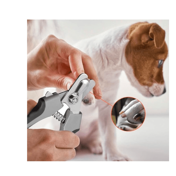 Cortaúñas para Perro y Lima de uñas Xtellar Color plata/Mecanismo de Corte Seguro