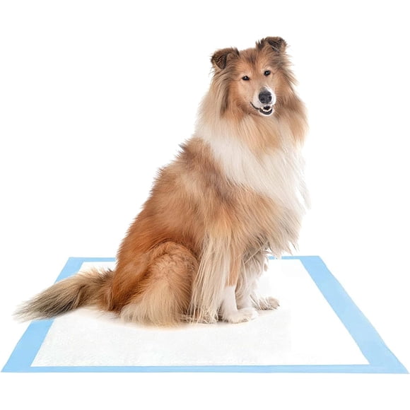 Tapete Entrenador para Perros ProudCo 76 X 58 cms Rápida absorción Almoadilla Elimina Olores