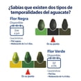 thumbnail image 2 of Aguacate Hass Por Kilo, 2 of 6