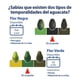 thumbnail image 2 of Aguacate Hass Por Kilo, 2 of 9