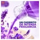 thumbnail image 5 of Limpiador Multiusos Líquido Fabuloso Fresca Lavanda 2 L, 5 of 8