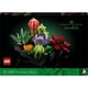 thumbnail image 2 of Set LEGO Icons Suculentas 10309, 2 of 4