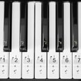 thumbnail image 4 of TAILTOSS 1Ud Calcomanía Para Piano Ideal Y Regalar A Principiantes, 4 of 8