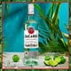 thumbnail image 3 of Caja de 12 Ron Bacardi Carta Blanca 980 ml, 3 of 3