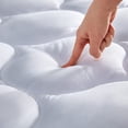 thumbnail image 1 of Funda de colchón SLEEP ZONE, acolchada, ajustada, doble, suave, 1 of 7