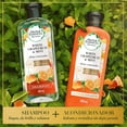 thumbnail image 5 of Shampoo Herbal Essences Bio Renew Toronja Blanca y Menta 400 ml, 5 of 5