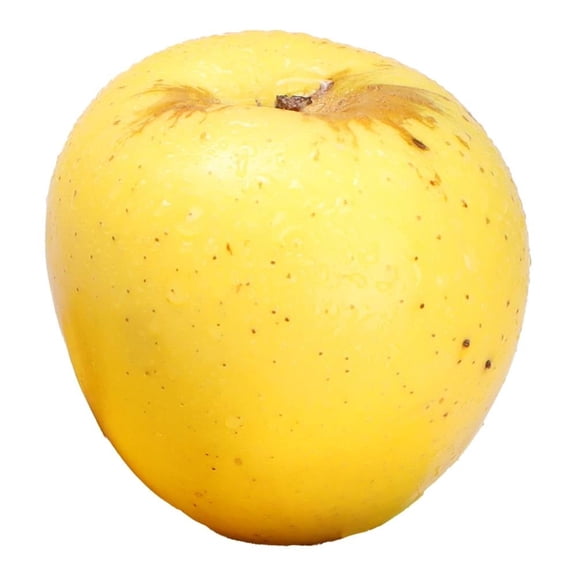 Manzana Golden Chihuahua Por Kilo