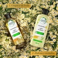 thumbnail image 5 of Shampoo Herbal Essences Bio:Renew Chamomile 400 ml, 5 of 5