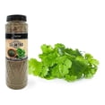 thumbnail image 2 of Pontino Cilantro 105 Gramos 2 Piezas, 2 of 5