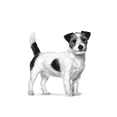 thumbnail image 3 of ROYAL CANIN SKINTOPIC SMALL DOG 4 KG ORIGINAL SELLADO azul, 3 of 3