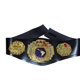thumbnail image 5 of Juguete cinturón lucha libre campeonato wwe aaa cmll wrestling niños adultos, 5 of 14