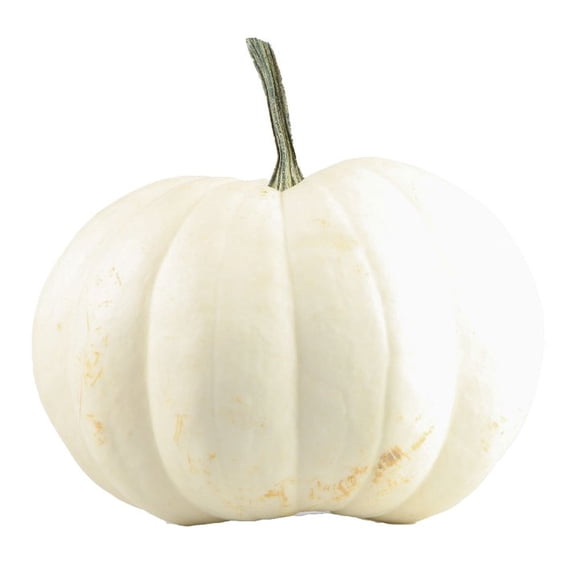 Calabaza Blanca por pieza