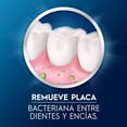 thumbnail image 3 of Hilo Dental Oral-B Essential Floss Sabor Menta, 1 pza, 3 of 5