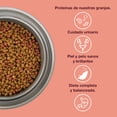 thumbnail image 4 of Alimento para Gato Mixi 3 kg, 4 of 7
