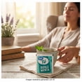 thumbnail image 4 of Té Doble Menta Great Value 18 sobres 1.2 g c/u, 4 of 4