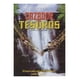 thumbnail image 1 of Cazador De Tesoros Stephen Baldwin Pelicula Dvd, 1 of 1