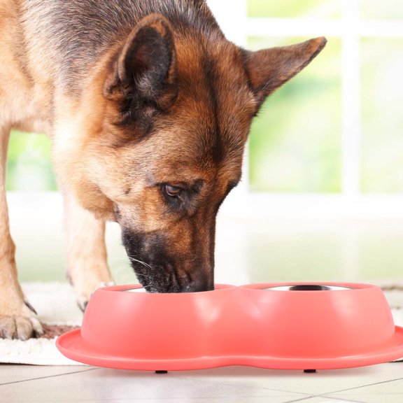 COOPHYA 1Ud Comedero Para Mascotas Con Doble Plato Inoxidable Para Comida Y