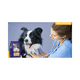 thumbnail image 3 of Croquetas para Perro NUCAN by NUPEC Adulto Senior 15 kg, 3 of 4