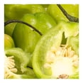 thumbnail image 3 of Chile Habanero por Kilo, 3 of 5
