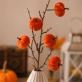 thumbnail image 4 of Calabaza de terciopelo sintético con ramas y bayas: decoración artificial de otoño para el hogar, ideal para la repisa de la chimenea, la mesa o como centro de mesa festivo., 4 of 7